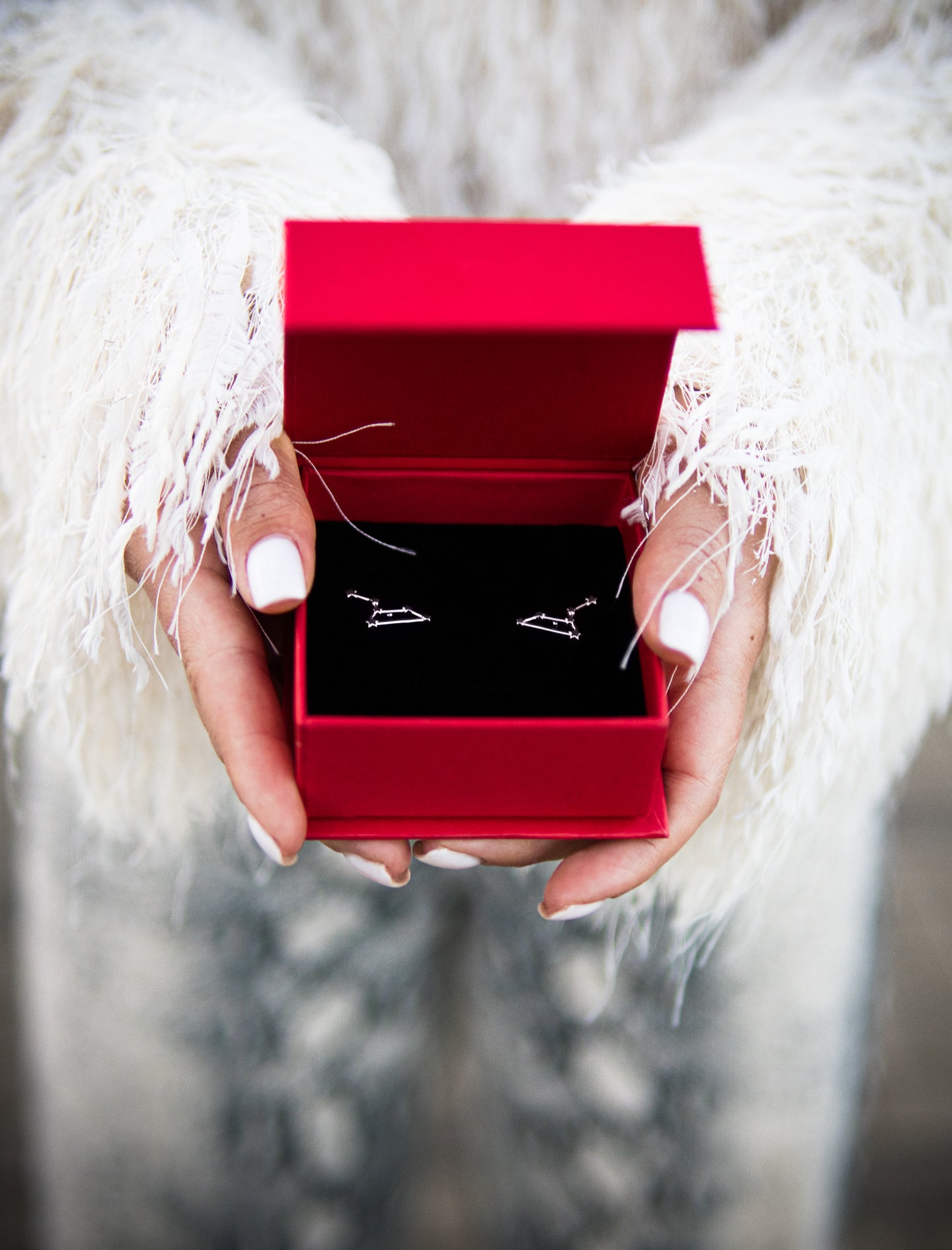 Leo Constellation Earrings