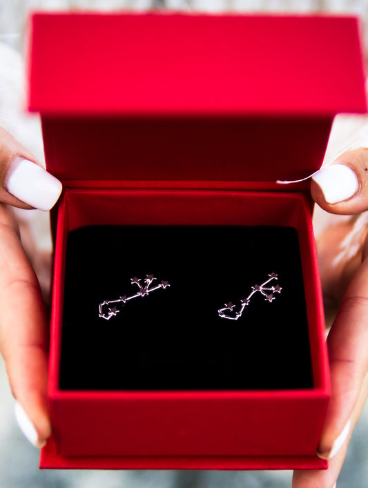 Scorpio Constellation Earrings