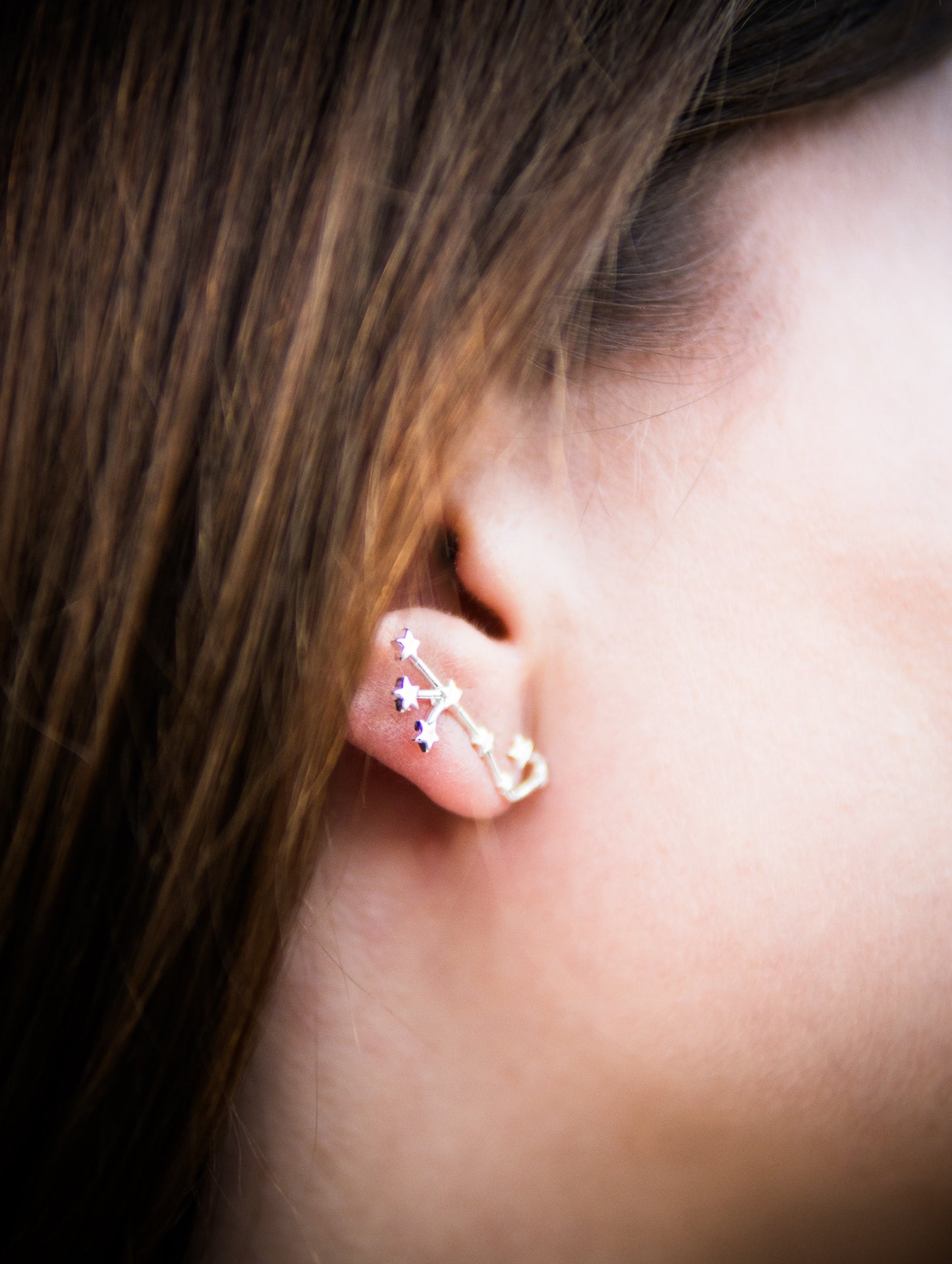 Scorpio Constellation Earrings